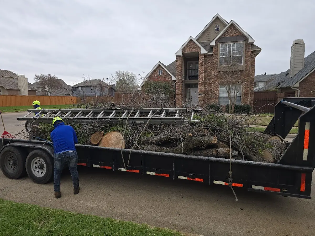 Expert Tree Pest Control with proper safety equipment in Union Center